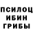 Псилоцибиновые грибы мицелий Eve M